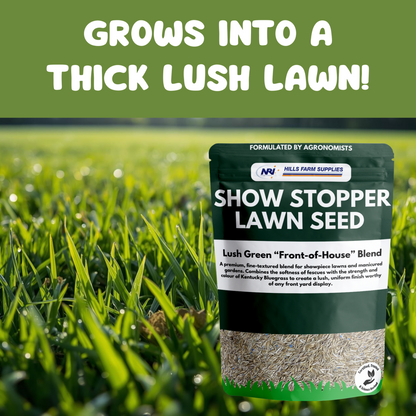 Show Stopper Lawn Seed