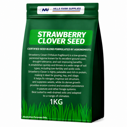 Strawberry Clover Seed