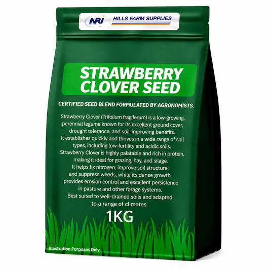 Strawberry Clover Seed