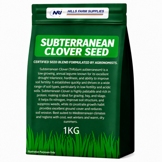 Subterranean Clover Seed