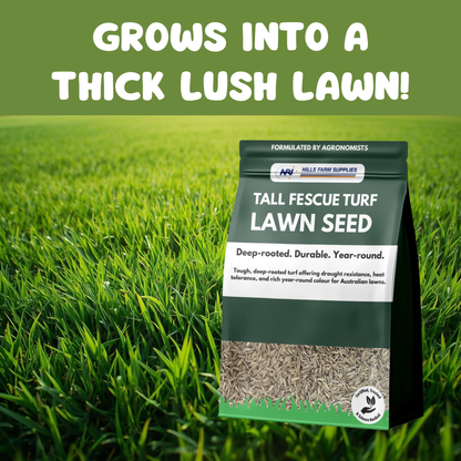 Tall Fescue Turf Seed