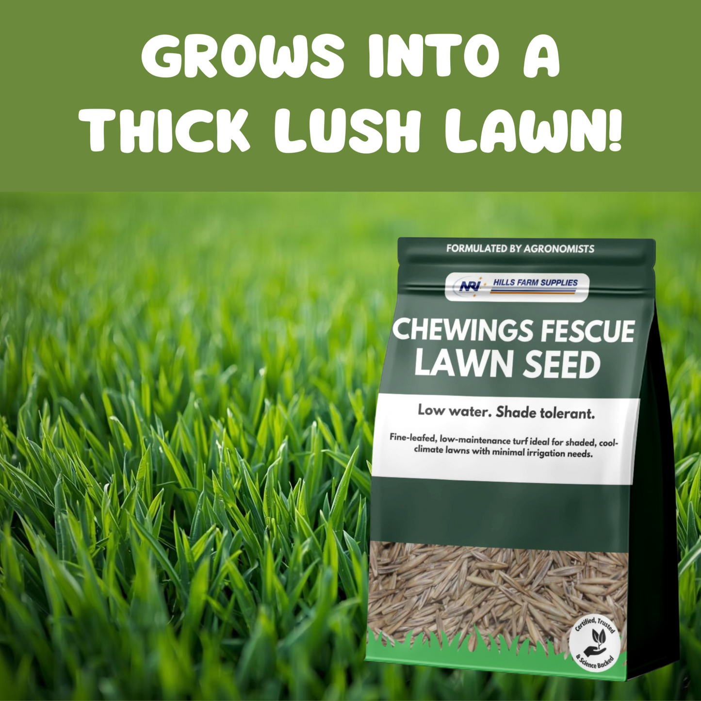 Chewings Fescue Grass Seed