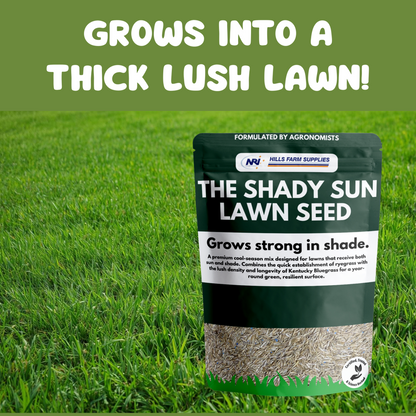 The Shady Sun Lawn Seed