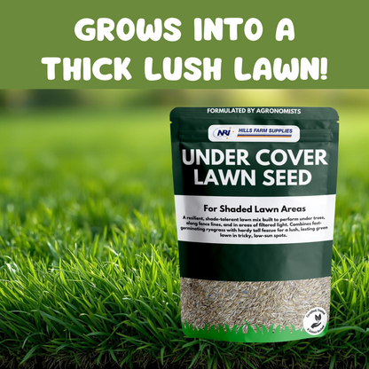 Under Cover Lawn Seed