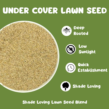 Under Cover Lawn Seed