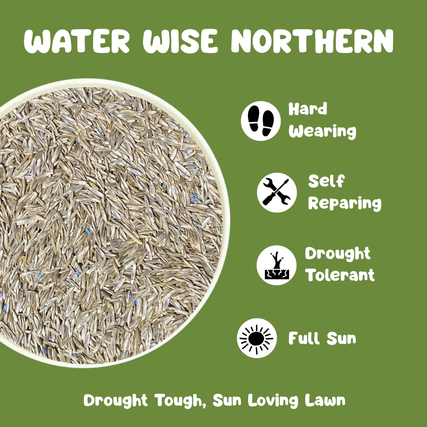 Water Wise Northern Lawn Seed