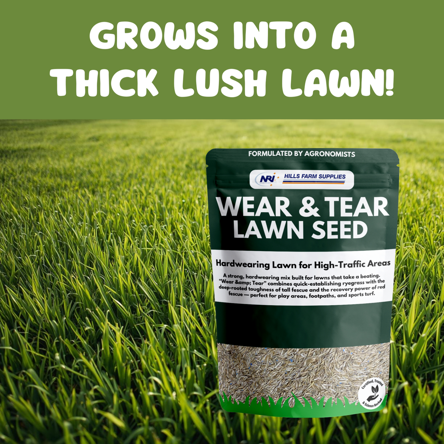 Wear & Tear Lawn Seed