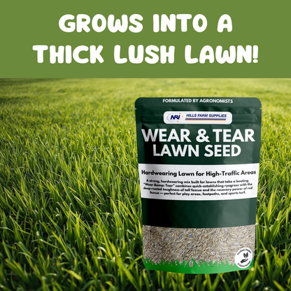 Wear & Tear Lawn Seed