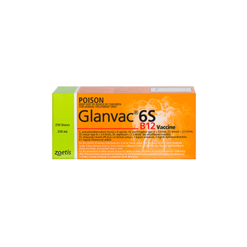 Zoetis Glanvac® 6SB12