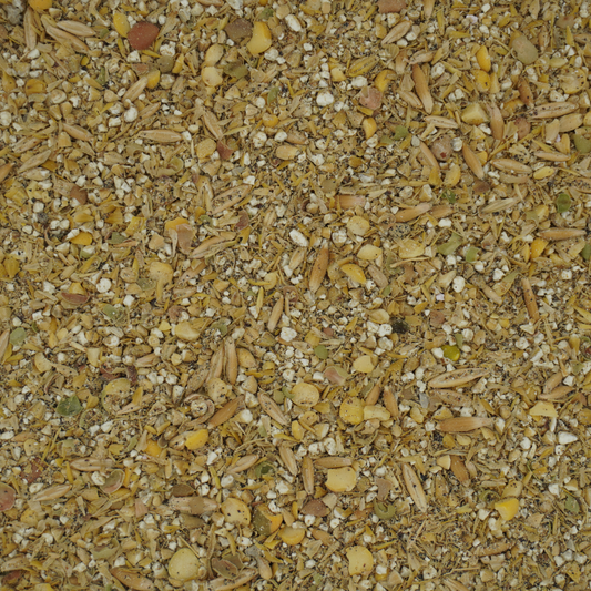 HFS Beef Feedlot Starter